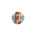 Gold Waist Chain for Women - 14K Gold Plated Body Chain Jewelry for Women Sexy Bikini Adjustable Festival Top Belly Chains Beach Trend Jewelry - color: Chest Chain-Beaded