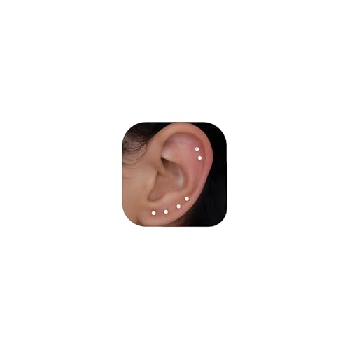 10 Pairs Small Stud Earrings for Women Precision-Cut Cubic Zirconia Earrings for Sensitive Ears Hypoallergenic Surgical Stainless Steel Tiny Stack Earrings for Multiple Piercing - color: 2mm-10 Pairs