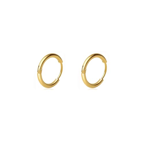 Gold Hoop Earrings Set: Dainty Stud Earrings 14K Gold Plated Earrings for Women Trendy Hypoallergenic Gold Stud Earrings 3-4mm Cubic Zirconia Cartilage Piercing Gold Jewelry for Women Gifts - color: Gold-Hoop-10mm