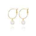 Gold Plated Huggie Hoop Earrings with Charms Fashion Pearl Drop Dangle Earrings for Women Handmade Karma Circle Jewelry for Ladies Lightweight Pearl Earrings on Christmas - color: shell pearl