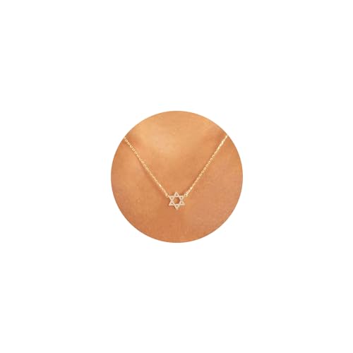 VRIUA Gold Necklace for Women - 14K Gold Plated Dainty Italian Horn Star of David Butterfly Bow Sun Lotus Volleyball Baseball Cowboy Boots Necklace Jewelry Everyday for Women - style: Star of David CZ
