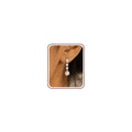 Pearl Earrings for Women, 14k Gold Plated Trendy Diamond Pearl Drop Earrings Hypoallergenic Dainty Bridal Gifts Wedding jewelry for Women - color: H—Silver