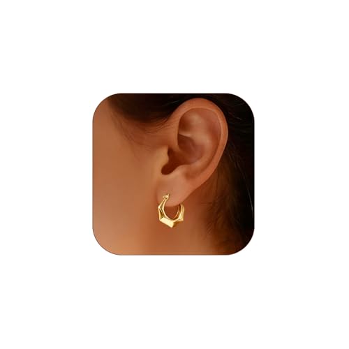 Hoop Earrings for Women 14K Gold Plated Thick Chunky Hoops Hypoallergenic Trendy Dainty Jewelry Gifts - style: Hexagon Hoop