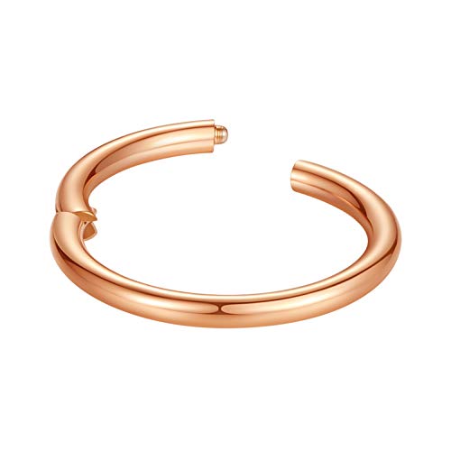 ORANGELOVE Hypoallergenic Nose Rings 20G 18G 16G 14G 12G 10G 8G 316l Surgical Steel Septum Jewelry Hinged Segment Ring Body Piercing Nose Hoop Lip Rings Nose Helix Cartilage Rook Earrings - color: Rose Gold, size: 1pc 14 Gauge 13mm