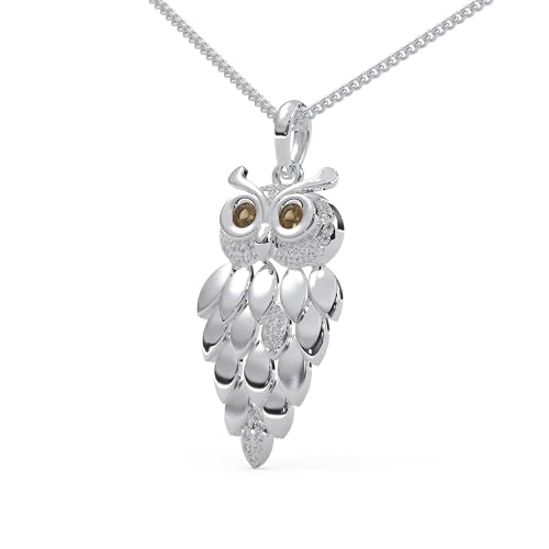 1/6 Cttw Natural Diamond Vintage Owl Pendant Necklace for Women | 925 Sterling Silver with 18" Chain | Fine Jewelry, Gift Box Included - color: White