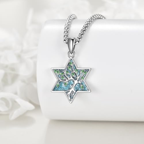 ONEFINITY Tree of Life Necklace 925 Sterling Silver Abalone Shell Celtic Knot Pendant Necklace for Women Jewelry - style: Turquoise Star of David