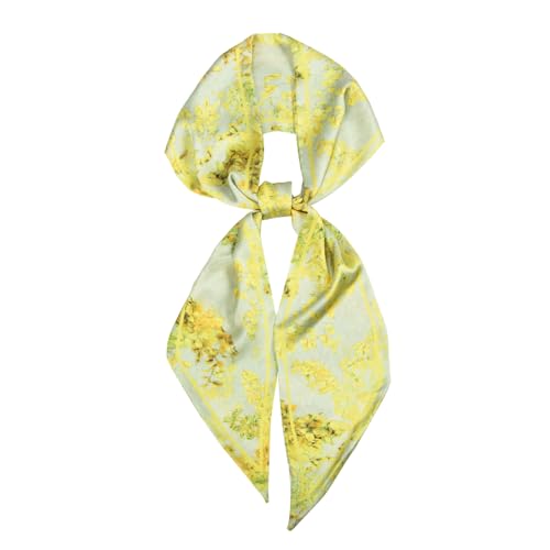 RIIQIICHY Hair Scarf for Women Like Silk Scarves Headband Neck Scarfs Twilly Purse Accessories - color: C012