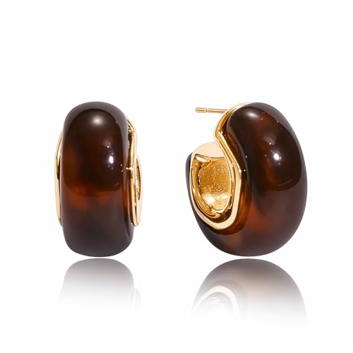 Fullpop Vintage Earrings for Women, Chunky 14K Gold Plated Resin Hoop Earrings Lightweight Hollow Drop Earrings Hypoallergenic Earrings for Women Vintage Anthropologie Jewelry Gifts for Women - size: Round-Brown