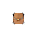Chunky Chain Necklaces Women Statement Collar Necklace Gold Flat Snake Chain Choker Ribbed Design for Party, Dress Jewelry Gifts - color: B1:Gold Silver Necklace