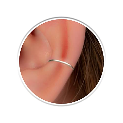 Fake Conch Hoops 20G Gold and Silver + Hammered and Plain
