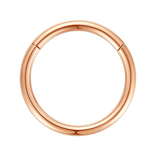 ORANGELOVE Hypoallergenic Nose Rings 20G 18G 16G 14G 12G 10G 8G 316l Surgical Steel Septum Jewelry Hinged Segment Ring Body Piercing Nose Hoop Lip Rings Nose Helix Cartilage Rook Earrings - color: Rose Gold, size: 1pc 10 Gauge 16mm
