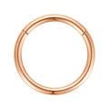 ORANGELOVE Hypoallergenic Nose Rings 20G 18G 16G 14G 12G 10G 8G 316l Surgical Steel Septum Jewelry Hinged Segment Ring Body Piercing Nose Hoop Lip Rings Nose Helix Cartilage Rook Earrings - color: Rose Gold, size: 1pc 10 Gauge 12mm