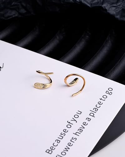 Tiny Double Hoop Earring S925 Sterling Silver Small Hammer Texture Hoop Hypoallergenic Twist Spiral Earrings for Women - Sliver & Gold - color: Gold