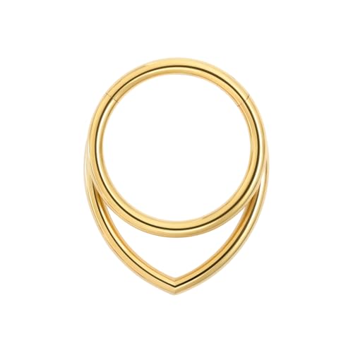 16G Titanium Septum Rings Double Septum Jewelry Daith Piercing Jewelry Silver Gold Hinged Segment Helix Clicker Piercing Jewelry 8 mm 10 mm Seamless Ring Hypoallergenic Jewellery for Her - color: Gold, size: 10mm