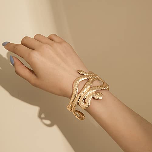 Caiyao Punk Exaggerated Viper Animal Serpent Swirl Snake Bangle Bracelet Gothic Open Adjustable Upper Arm Cuff Armlet Armband Bracelets for Women Men Bar Party Halloween Decoration Jewelry