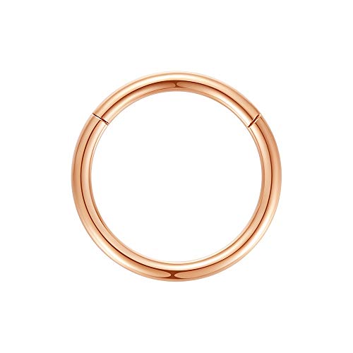 ORANGELOVE Hypoallergenic Nose Rings 20G 18G 16G 14G 12G 10G 8G 316l Surgical Steel Septum Jewelry Hinged Segment Ring Body Piercing Nose Hoop Lip Rings Nose Helix Cartilage Rook Earrings - color: Rose Gold, size: 1pc 14 Gauge 10mm