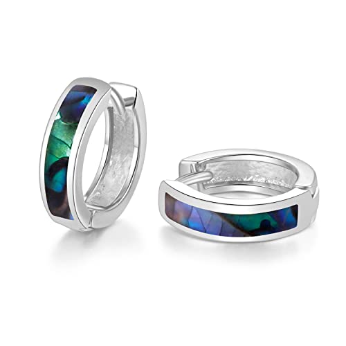 CiNily Huggie Earrings Opal Hinged Hoop Earrings Gold Plated Hypoallergenic Small Hoop Earrings for Women Teen Girls Men Sensitive Ears - color: Abalone shell