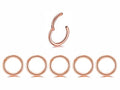 5Pcs 16G 18G Surgical Steel Nose Rings Hoop Tragus Septum Cartilage Hoop Earrings For Women Men Body Piercing Jewelry Kit Bar Length 6mm/8mm/10mm/12mm/14mm - style: 5Pcs -16G - Rose Gold - 6mm