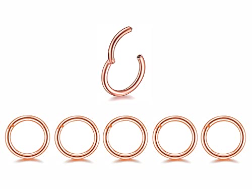 5Pcs 16G 18G Surgical Steel Nose Rings Hoop Tragus Septum Cartilage Hoop Earrings For Women Men Body Piercing Jewelry Kit Bar Length 6mm/8mm/10mm/12mm/14mm - style: 5Pcs -16G - Rose Gold - 6mm