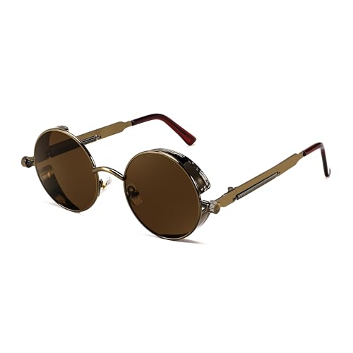 FEISEDY Retro Gothic Steampunk Sunglasses Round Metal Frame Punk Circle Inspired Shade Men B1857 - color: Bronze/Tea