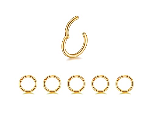 5Pcs 16G 18G Surgical Steel Nose Rings Hoop Tragus Septum Cartilage Hoop Earrings For Women Men Body Piercing Jewelry Kit Bar Length 6mm/8mm/10mm/12mm/14mm - style: 5Pcs -16G - Gold - 6mm