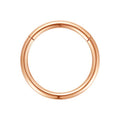 ORANGELOVE Hypoallergenic Nose Rings 20G 18G 16G 14G 12G 10G 8G 316l Surgical Steel Septum Jewelry Hinged Segment Ring Body Piercing Nose Hoop Lip Rings Nose Helix Cartilage Rook Earrings - color: Rose Gold, size: 1pc 12 Gauge 10mm
