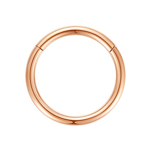 ORANGELOVE Hypoallergenic Nose Rings 20G 18G 16G 14G 12G 10G 8G 316l Surgical Steel Septum Jewelry Hinged Segment Ring Body Piercing Nose Hoop Lip Rings Nose Helix Cartilage Rook Earrings - color: Rose Gold, size: 1pc 12 Gauge 16mm