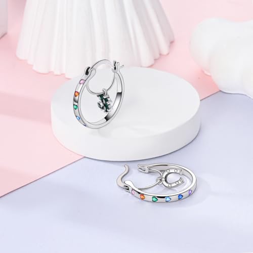 NARMO 925 Sterling Silver Hoop Earrings for Women Hypoallergenic Lightweight Simple Huggie Hoop Earrings Twisted Hoop Earrings Colorful Cubic Zirconia Hoop Earrings Rainbow Hoop Earrings - color: Lucky Hoop