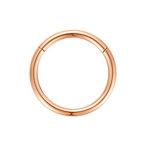 ORANGELOVE Hypoallergenic Nose Rings 20G 18G 16G 14G 12G 10G 8G 316l Surgical Steel Septum Jewelry Hinged Segment Ring Body Piercing Nose Hoop Lip Rings Nose Helix Cartilage Rook Earrings - color: Rose Gold, size: 1pc 14 Gauge 13mm
