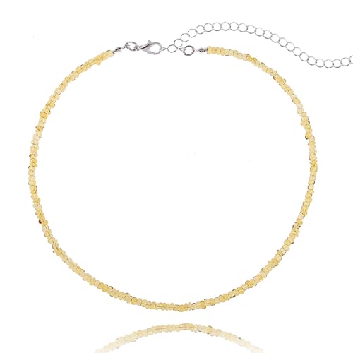 Tgirls Boho Choker Necklace Chain Rice Beaded Necklaces Seed Bead Necklace Accessory for Women - color: Champagne