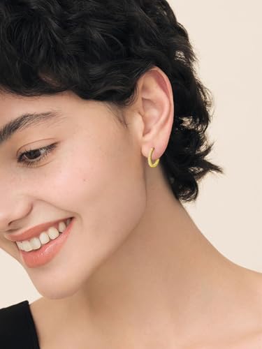 14K Gold Hoop Earrings for Women Hypoallergenic Lightweight Gold Huggie Hoop Earring Jewelry Gift - style: B-20mm