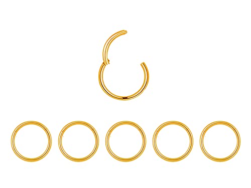 5Pcs 16G 18G Surgical Steel Nose Rings Hoop Tragus Septum Cartilage Hoop Earrings For Women Men Body Piercing Jewelry Kit Bar Length 6mm/8mm/10mm/12mm/14mm - style: 5Pcs -18G - Gold - 10mm