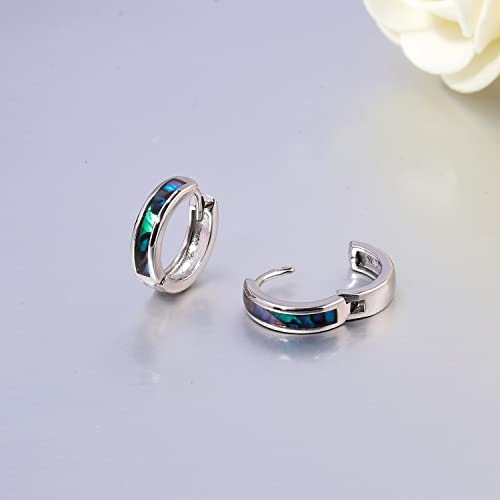 CiNily Huggie Earrings Opal Hinged Hoop Earrings Gold Plated Hypoallergenic Small Hoop Earrings for Women Teen Girls Men Sensitive Ears - color: Abalone shell