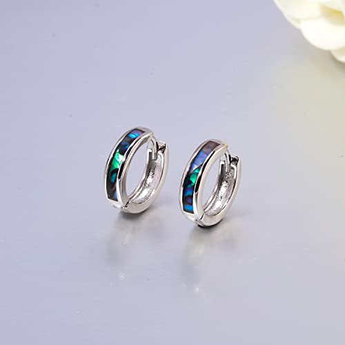 CiNily Huggie Earrings Opal Hinged Hoop Earrings Gold Plated Hypoallergenic Small Hoop Earrings for Women Teen Girls Men Sensitive Ears - color: Abalone shell