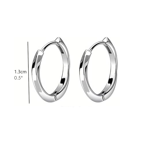 QueenBee 925 Sterling Silver & Gold-Plated Twisted Small Hoop Earrings – Hypoallergenic, Minimalist, Lightweight Jewelry for Women – Classic Everyday Hoops - color: Small Silver Hoop