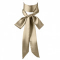 Long Thin Skinny Scarf Satin Neckerchief Ribbon Tie Waist Belt for Women - color: Champagne