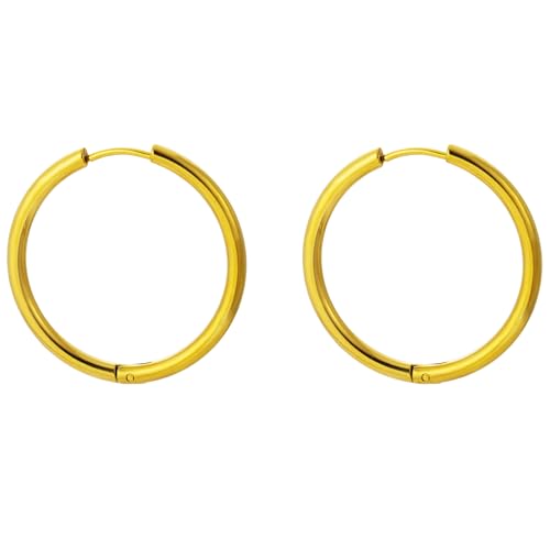 Stainless Steel Hoop Earrings for Women Gold Tone Geometric, Huggie Heart Twisted Minimalist Engraved Designs for Daily Wear - color: Gold-Heart02_25mm*25mm