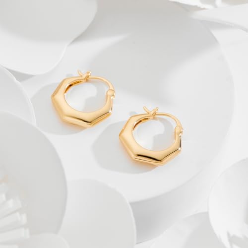 Hoop Earrings for Women 14K Gold Plated Thick Chunky Hoops Hypoallergenic Trendy Dainty Jewelry Gifts - style: Hexagon Hoop