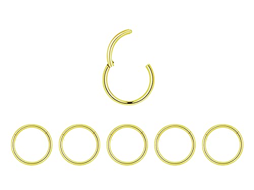 5Pcs 16G 18G Surgical Steel Nose Rings Hoop Tragus Septum Cartilage Hoop Earrings For Women Men Body Piercing Jewelry Kit Bar Length 6mm/8mm/10mm/12mm/14mm - style: 5Pcs -18G - Gold - 8mm