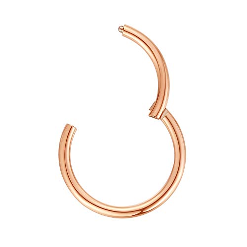 ORANGELOVE Hypoallergenic Nose Rings 20G 18G 16G 14G 12G 10G 8G 316l Surgical Steel Septum Jewelry Hinged Segment Ring Body Piercing Nose Hoop Lip Rings Nose Helix Cartilage Rook Earrings - color: Rose Gold, size: 1pc 14 Gauge 9mm