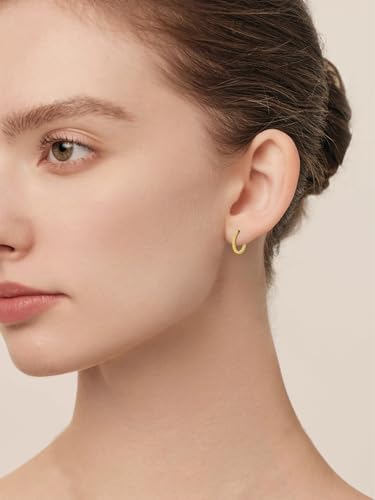 14K Gold Hoop Earrings for Women Hypoallergenic Lightweight Gold Huggie Hoop Earring Jewelry Gift - style: A-20mm