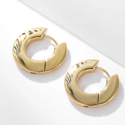 Stainless Steel Hoop Earrings for Women Gold Tone Geometric, Huggie Heart Twisted Minimalist Engraved Designs for Daily Wear - color: Gold-Round01_23mm