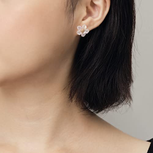 12 Pairs Acrylic Stud Set Earrings for Women, Diverse Colorful Hypoallergenic Fashion Jewelry for Special Moments Christmas Valentines Mother's day Gift