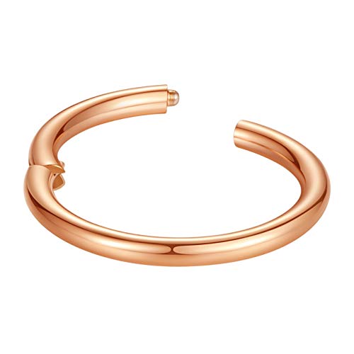 ORANGELOVE Hypoallergenic Nose Rings 20G 18G 16G 14G 12G 10G 8G 316l Surgical Steel Septum Jewelry Hinged Segment Ring Body Piercing Nose Hoop Lip Rings Nose Helix Cartilage Rook Earrings - color: Rose Gold, size: 1pc 10 Gauge 12mm