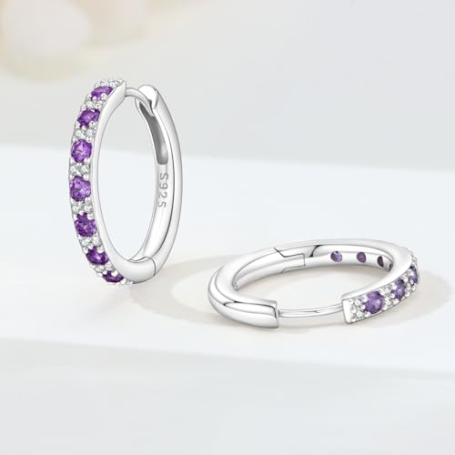 Earrings for Women 925 Sterling Silver Hoop Earring Colorful Cute Fashion Hoop Earrings Graduation Birthday Jewelry Gifts for Women - color: Purple Interspersed Stone Earrings