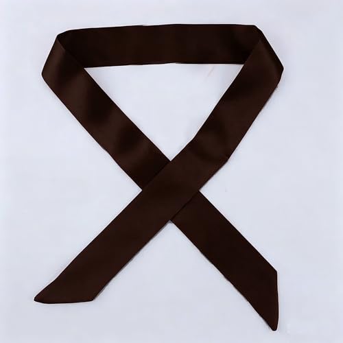 10 Pcs Long Thin Small Skinny Scarf Satin Neck Tie Ribbon Choker for Women Girls - color: Coffee