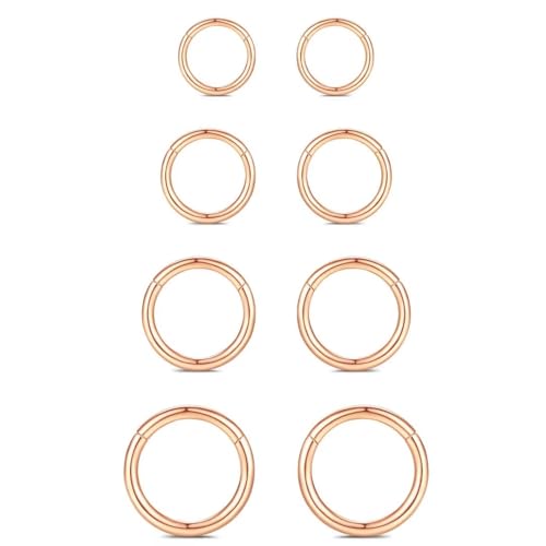 WBRWP 316L Stainless-Steel Piercing-Ring Hinged Nose-Rings-Hoop : 20G 18G 16G 14G Womens Body Pierecing Ring Segment Clicker Lip Rings Helix Cartilage Rook Earrings Diameter 6mm 8mm 10mm 12mm - color: 8pc set in rose gold color(each dia. 2 pc)