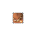 choice of all Chunky Gold Necklace Statement Necklace for Women Punk Chain Thick Gold Choker Jewelry Trendy Birthday Gifts - color: G:chunky necklace