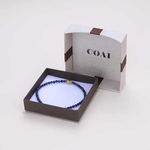 COAI Evil Eye Anklet for Women, Summer Waterproof Anklet for Women Lapis Lazuli Moonstone Black Tourmaline Ankle Bracelet - style: Lapis Lazuli