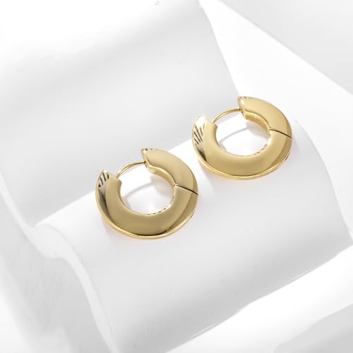 Stainless Steel Hoop Earrings for Women Gold Tone Geometric, Huggie Heart Twisted Minimalist Engraved Designs for Daily Wear - color: Gold-Round01_23mm